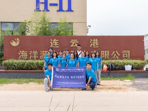 �Ƽ������d�O�������l�����d